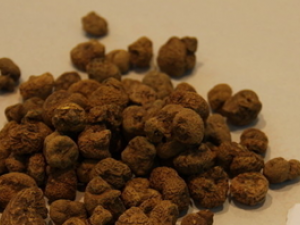 �㻹��Ϊ��ķ��ֵ�����  ����֪������ֵ�ԭ����