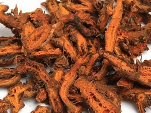 ����ľͨ�账�� ����ľͨ�蹦Ч ����ľͨ���������