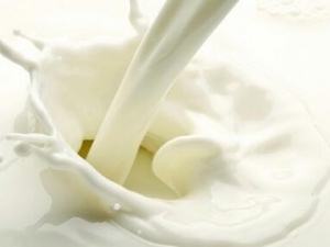 ţ��ʲôʱ������ ��ţ��Ҳ������