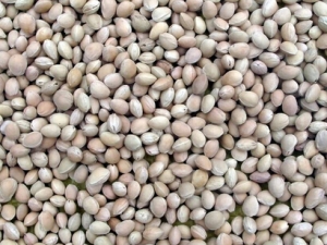 ����ͩ�ӵĹ�Ч������ ���ֹʹ