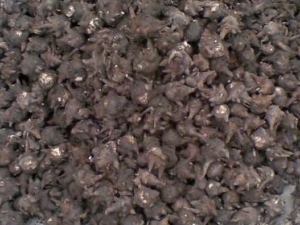 �ڸ������� �ڸ�����Ч �ڸ�����������