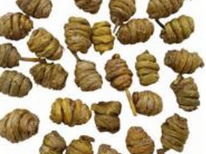 ���Ĳ���֢״ ���Ĳ���ʲô ���Ĳ�����ʳ����