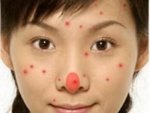 �����ǰ�����ʮ����ϰ �������Ԥ��