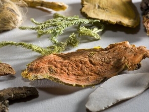 ������ʳС��ʶ ��ҩҩ������