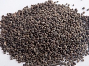 ҹ��ɰ�Ĺ�Ч������ �����Ŀ