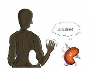 �������׵���ʳ���� ���Ԥ����������