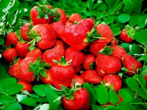 Ů�Բ���Ҫ��ʲô�������Щ�߲�ˮ��