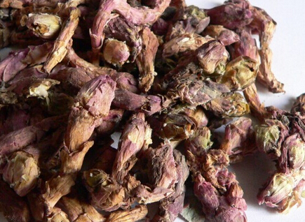 【图片】款冬花是什么|款冬花的功效与作用|款冬花的配伍|款冬花的治病验方|款冬花的附方|款冬花的食用方法|款冬花的副作用