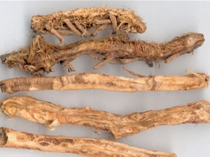 �ٺ�֪ĸ������ �ٺ�֪ĸ����Ч �ٺ�֪ĸ����������