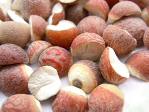 ʪ������ô�� ��ʪ���������