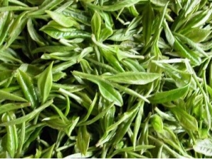 �ڳ���Σ�� �ڳ���ʲô ��θ��ڳ�