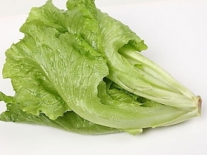 Ƥ��������ô�� Ƥ��������ʲôʳ��