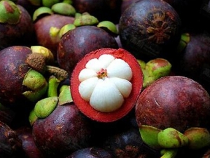 ɽ���Ӫ����ֵ ɽ��Ĺ�Ч������ ɽ���ʳ�ý���