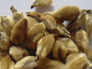 ĵĹЧ ĵĸ ĵļ𷽷