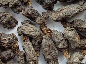 ����ӵĹ�Ч������ ���Ƚⶾ ����ɢ��