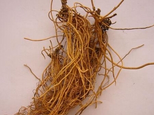 ڽݵĹЧ ·̵ ʪ ֹʹ