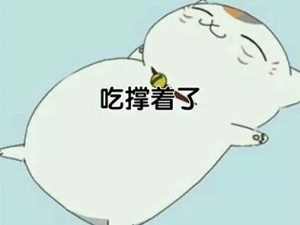 ��̫���Ļ��� ��̫����ô��