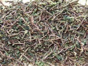 ҩζʲô˼?ʲôҩζ?