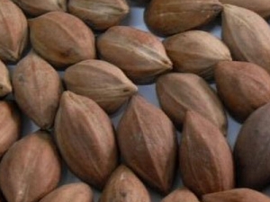 ��魺˵Ĺ�Ч������ ��魺˵ĸ���