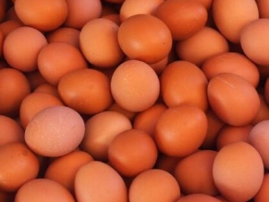 ��Ƥ����Ӫ����ֵ�ر��