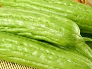 �����Ŷ���ʳ������Щ��