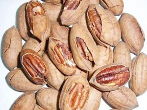 ɽ���ҵĹ�Ч������ ��Ѫ���� ���ﻬ��