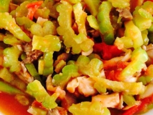 ����û��ʳ�����ļ�������ʲô