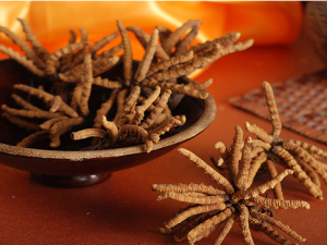 ɽ髷۵���Щ������֪����