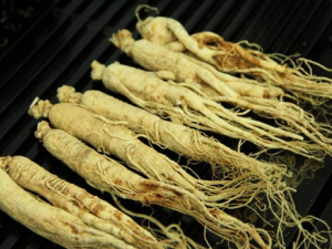 ������������Ѫ  ���˶�������