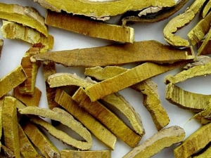 ¡��ɢ���� ¡��ɢ��Ч ¡��ɢ��������