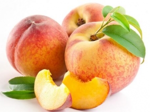 ͨ���ˮ������Щ �����ʺϳ���Щˮ��