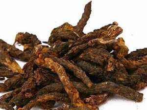 ɽ��ȸ�Ĺ�Ч������ ���ο���