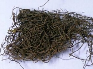 ��β���Ĺ�Ч������ ������ʪ�ⶾ