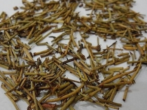 �˷���ݵ������������� �˷���ݵ�����������Ч