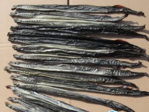 ��Ŀ���Ĺ�Ч������ ��ҹä֢ ��Ĥ����