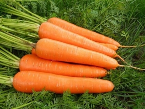 ���ݺ�ϰ��ѧ���� �峦�Ŷ�ʳ������Щ��