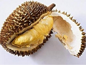 ������Ӫ����ֵ ������ʳ�÷�����������Ⱥ