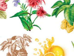 �����в�ҩ�İ�ȫ����