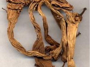 ��é�Ĺ�Ч������ ��é��ʳ�÷��������