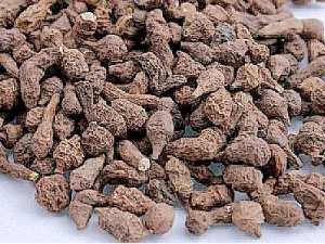 青海人参果的营养价值 青海人参果的食用方法