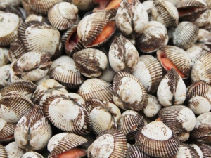 �౴��Ӫ����ֵ �౴��ʳ�÷���������