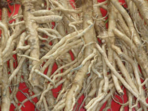 �ļ�����   �ҳ������ͯ������˯