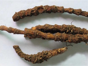 ţβߵĹЧ ţβߵļ𷽷