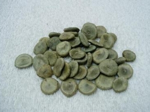 ǮӵĹЧ Ǯӵĸ ǮӵٴӦ