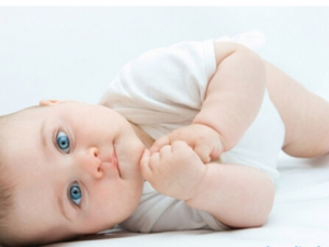 ����ʪ����ô�� ����ʪ�����ʳ��������ʳ����