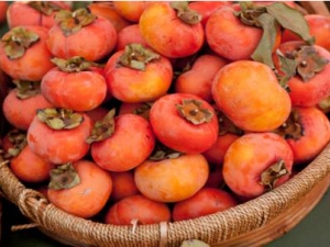 ��ҽ���ƿ�ǻ�����