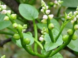 �����Ӽ��⿪ʼ   ������ʮ���豣��Ӵ