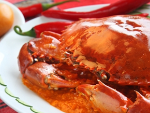 ��Ѫ������ô��  ������Ѫ���������