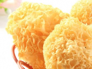 ���������������  ����������������������