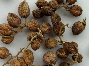 ɰʵĹЧ ɰʵӪֵ ɰʵҩ